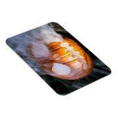 Jack-o-Lantern des kopflosen Pferdes Kopf an Flamm Magnet (Rechte Seite)