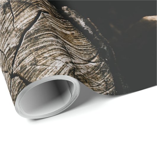 Jack-O-Lantern Geschenkpapier (Rolleneckpunkt)