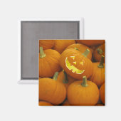 Jack-O-Lantern in einem Kürbisgeflecht Magnet (Vorderseite/Rückseite)