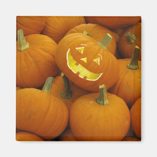 Jack-O-Lantern in einem Kürbisgeflecht Magnet (Vorne)