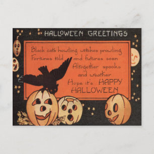 Jack O' Lantern Kürbis Eule Sterne Postkarte