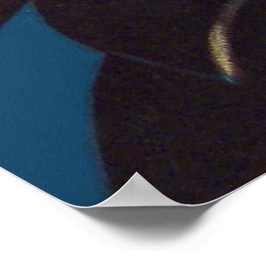 Jack O' Lantern Pumpkin Hexenkupf Poster (Ecke)