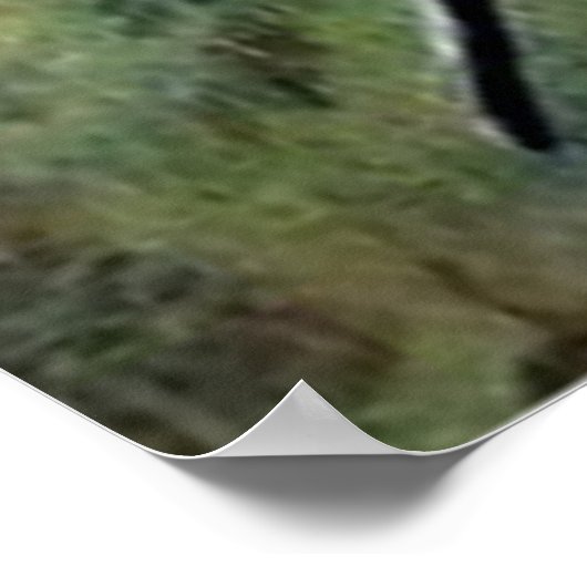 Jack O' Lantern Pumpkin Skeleton Friedhof Poster (Ecke)