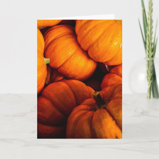 Jack O' Lantern Sammlung #1 Karte (Vorderseite)