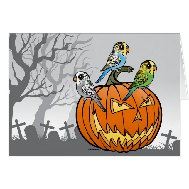 Jack O'Budgies (Vorderseite (Horizontal))