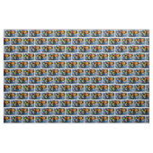 Jack o'Lantern Hexe Stoff (Yard (91,4 cm))