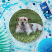 Jack Pappteller (Party)