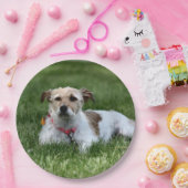 Jack Pappteller (Party)