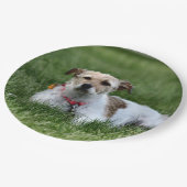 Jack Pappteller (Schrägansicht)