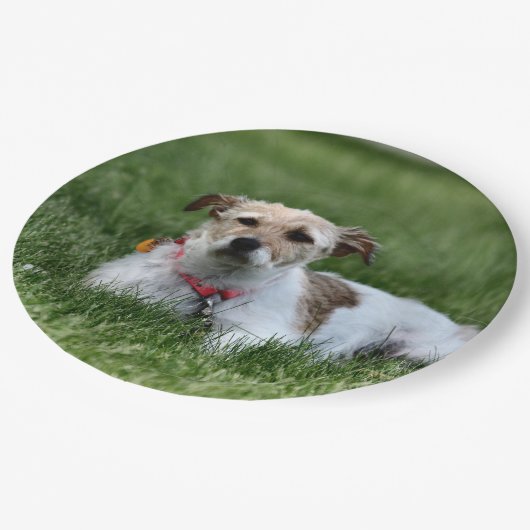 Jack Pappteller (Schrägansicht)