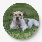 Jack Pappteller (Vorderseite)