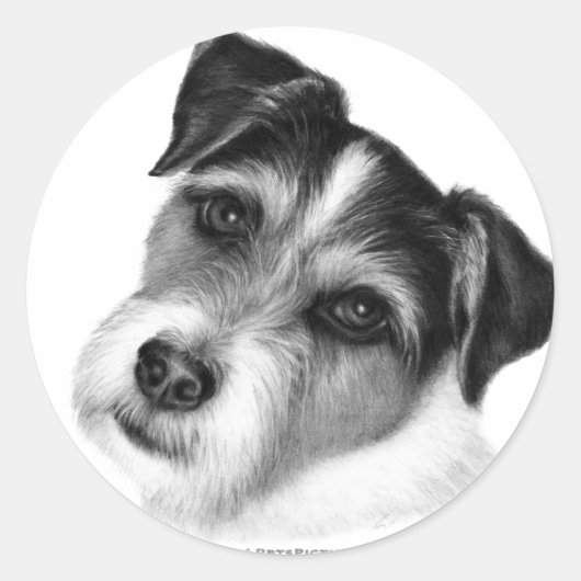 Jack (Parson) Russell Terrier Runder Aufkleber (Vorderseite)