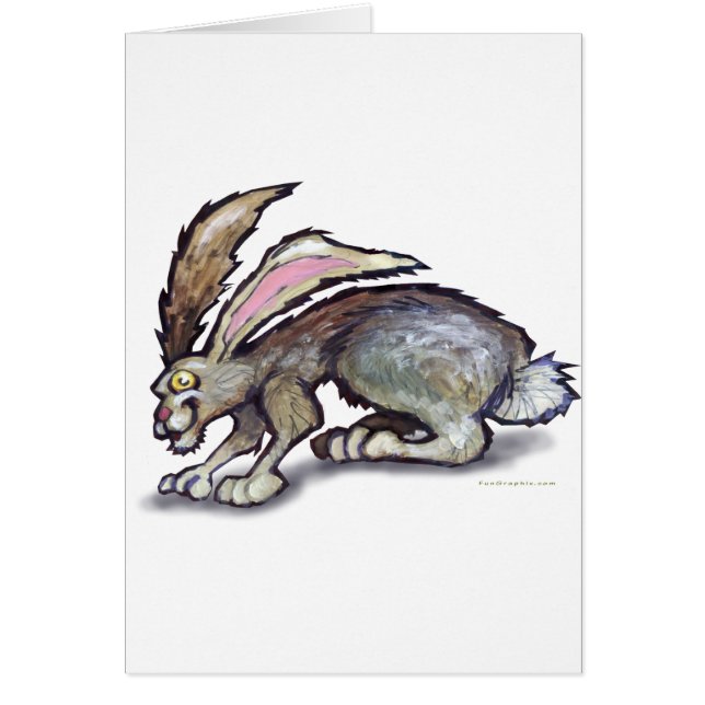 Jack Rabbit (Vorne)