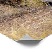 Jack Rabbit Cactus Santa Fe New Mexico Poster (Ecke)