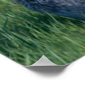 Jack Rabbit Poster (Ecke)