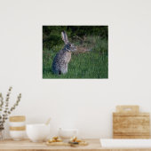 Jack Rabbit Poster (Küche)