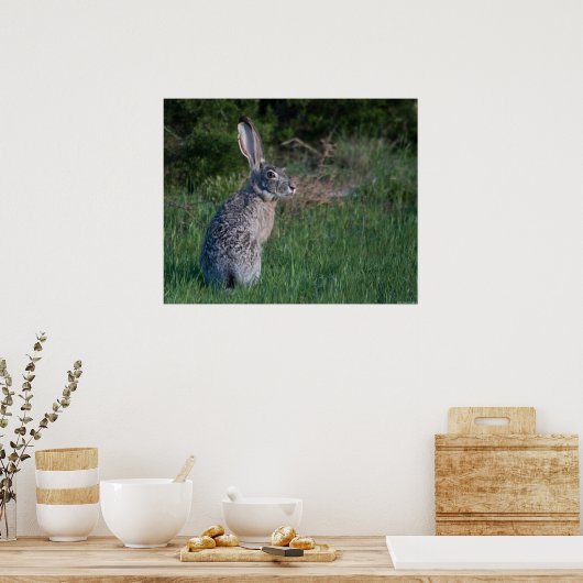 Jack Rabbit Poster (Küche)