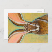 Jack Rabbit Postkarte (Vorne/Hinten)