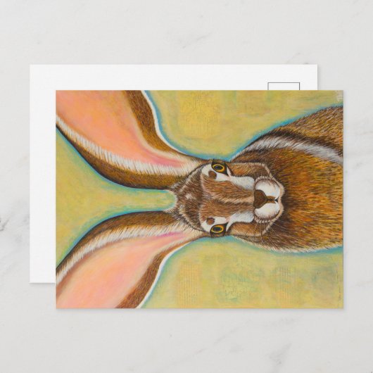 Jack Rabbit Postkarte (Vorne/Hinten)