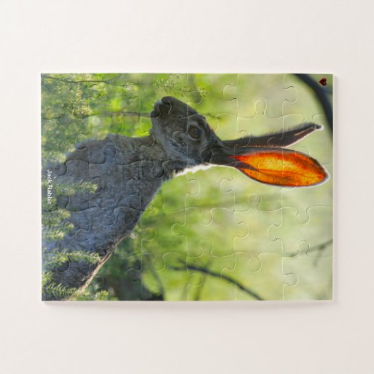 Jack Rabbit Puzzle (Horizontal)