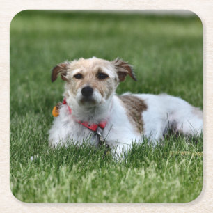 Jack Rechteckiger Pappuntersetzer