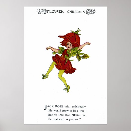 Jack Rose Poster (Vorne)