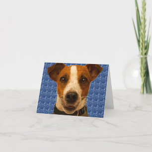 Jack Russel Cosby Card Feiertagskarte