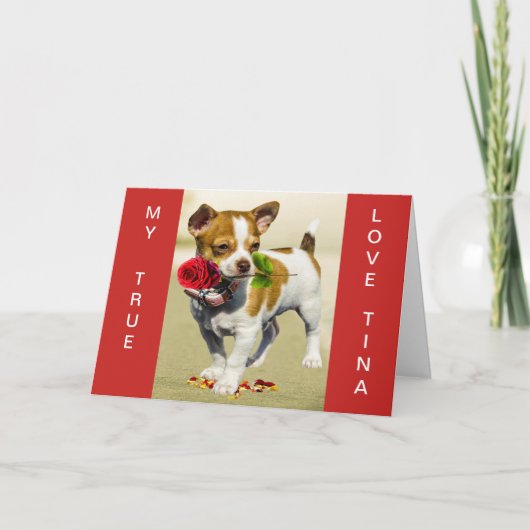 JACK RUSSEL CUSTOM VALENTINE-KARTE KARTE (Vorderseite)