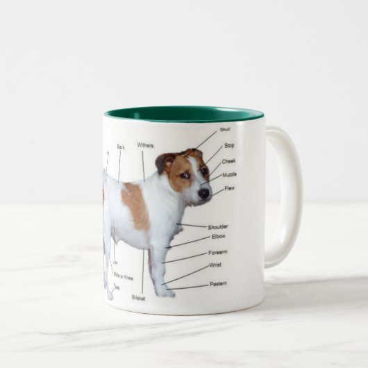 Jack-Russel-Diagrammbecher Zweifarbige Tasse (VorderseiteRechts)