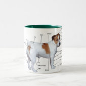 Jack-Russel-Diagrammbecher Zweifarbige Tasse (Mittel)