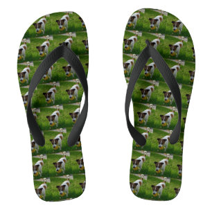 Jack Russel Play Time Badesandalen