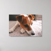 Jack Russel Terier Leinwanddruck (Vorderseite)