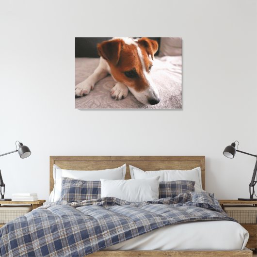 Jack Russel Terier Leinwanddruck (Insitu (Schlafzimmer))