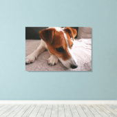 Jack Russel Terier Leinwanddruck (Insitu (Holzboden))