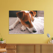 Jack Russel Terier Leinwanddruck (Insitu (Wohnzimmer))