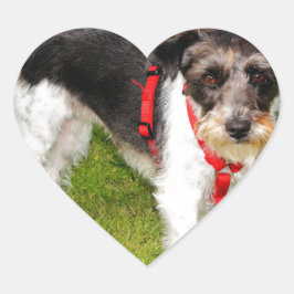 Jack Russel Terrier Herz-Aufkleber