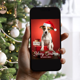Jack Russel Terrier Hund Weihnachtsgeschenke Rot  Feiertagskarte