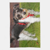 Jack Russel Terrier Küchentuch (Vertikal)