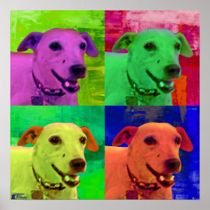 Jack-Russel-Terrier-Pop-Kunst Poster