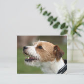 Jack Russel Terrier Postkarte (Stehend Vorderseite)