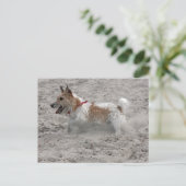 Jack Russel Terrier Postkarte (Stehend Vorderseite)