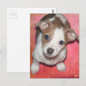 Jack Russel Terrier Puppy auf rosa Postkarte (Vorne/Hinten)