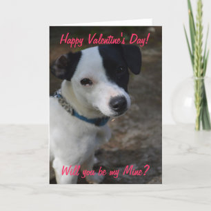 Jack Russel Valentine Card Feiertagskarte