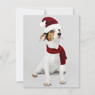 Jack Russel Welpe mit Santa Hut Feiertagskarte