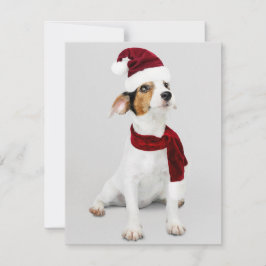 Jack Russel Welpe mit Weihnachtsmannmütze Feiertagskarte