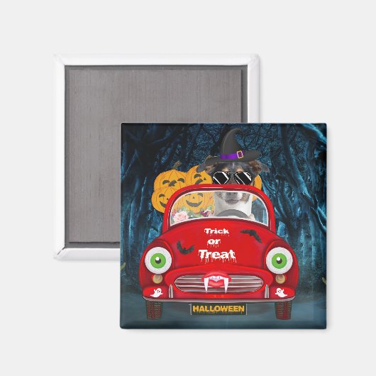 Jack Russell Dog Driving Car Beängstigend Hallowee Magnet (Vorderseite/Rückseite)