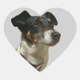 Jack Russell Dog Herz-Aufkleber