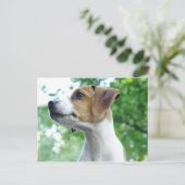 Jack Russell Dog Postcard Postkarte (Stehend Vorderseite)