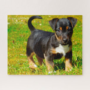 Jack Russell Dog. Puzzle