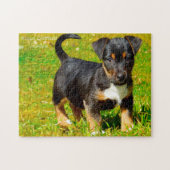 Jack Russell Dog. Puzzle (Horizontal)